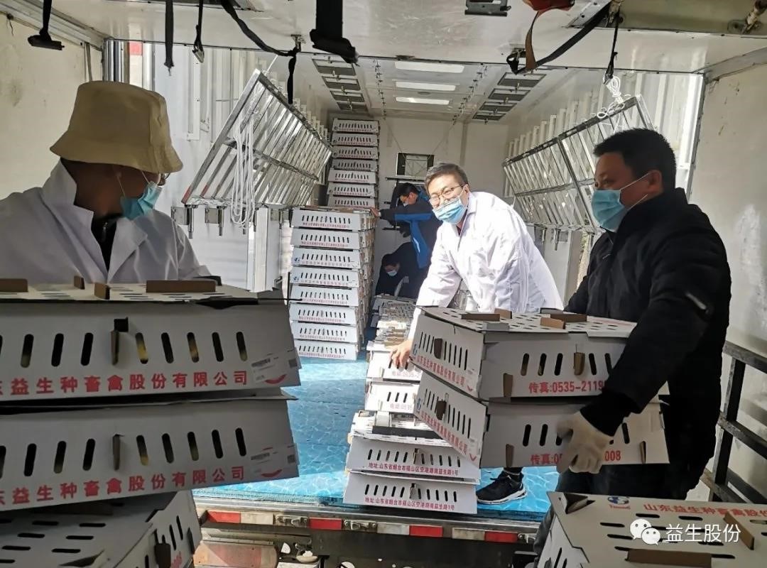 ����ע�����ߡ���������������������Ϊaggame�����Ŷӵ���