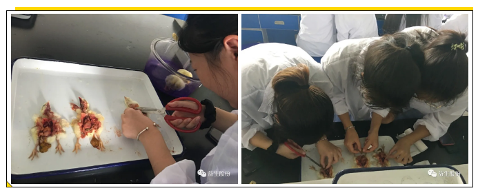 1601365428(1).png 1601365428(1).png