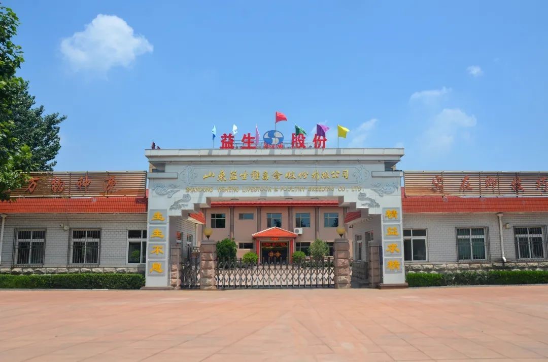 ����ף��������ʮ���أ������������·ܽ�����ǰ����������ףaggame�����ɷ�����12����