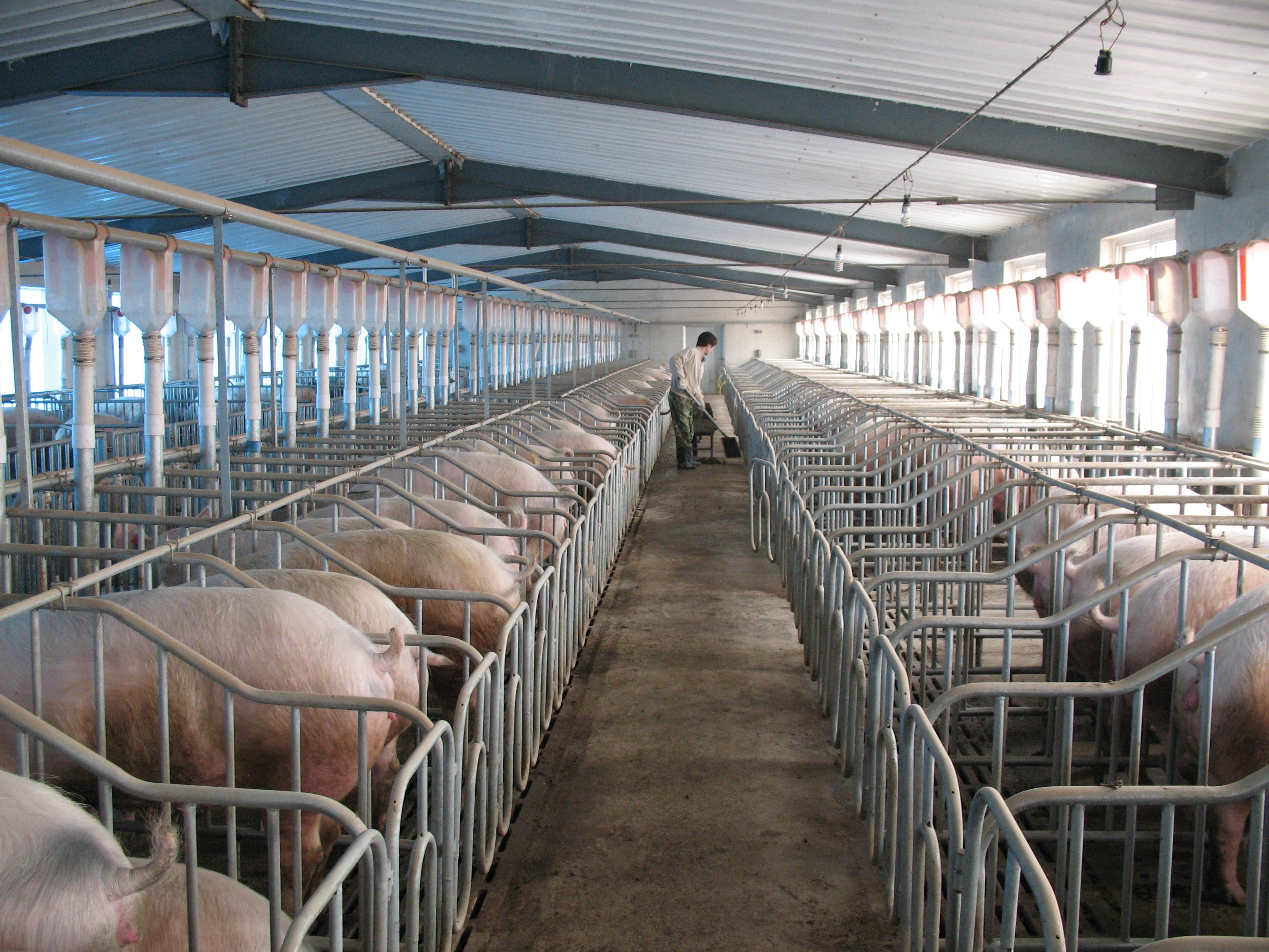 �����ڲ�