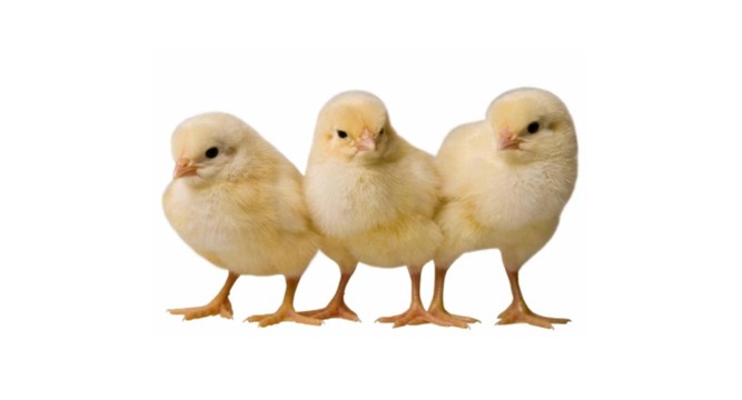 Hubbard ������Ʒ������