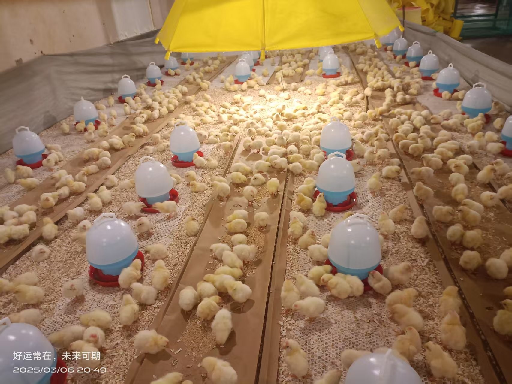 �����֡�ϲѶ��aggame�����ɷ��ֳɴӷ�����������������ּ�