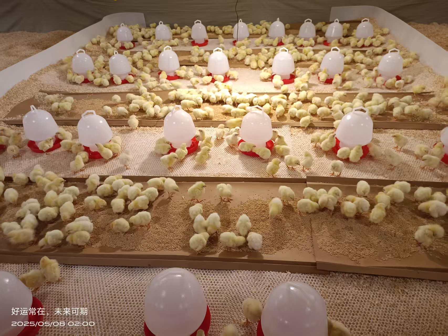 ��ϲѶ��aggame�����ɷݰ����⼦����������� ��Դս�����ι�ҵ����