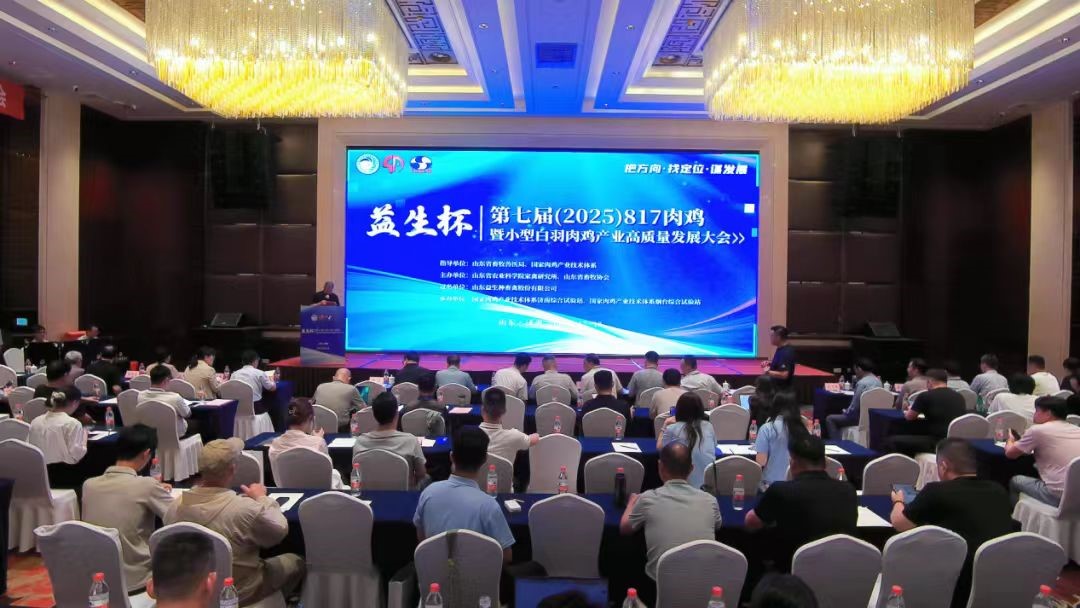 ���ۻ᡿aggame������--���߽죨2025��817�⼦��С�Ͱ����⼦��ҵ��������������ڼ����ֳɾ���