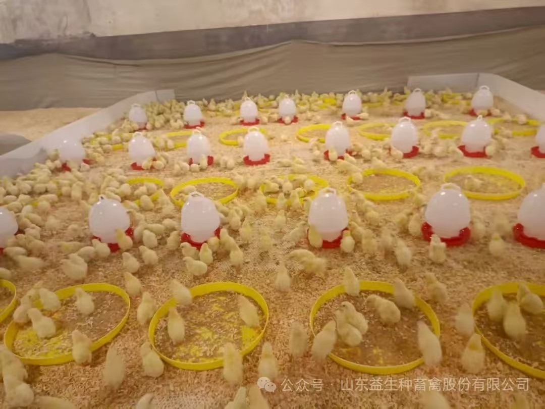 �����֡�ϲѶ��aggame�����ɷ����ڵھ�������˳�����������������1.6��������������ּ��ֳ��볡