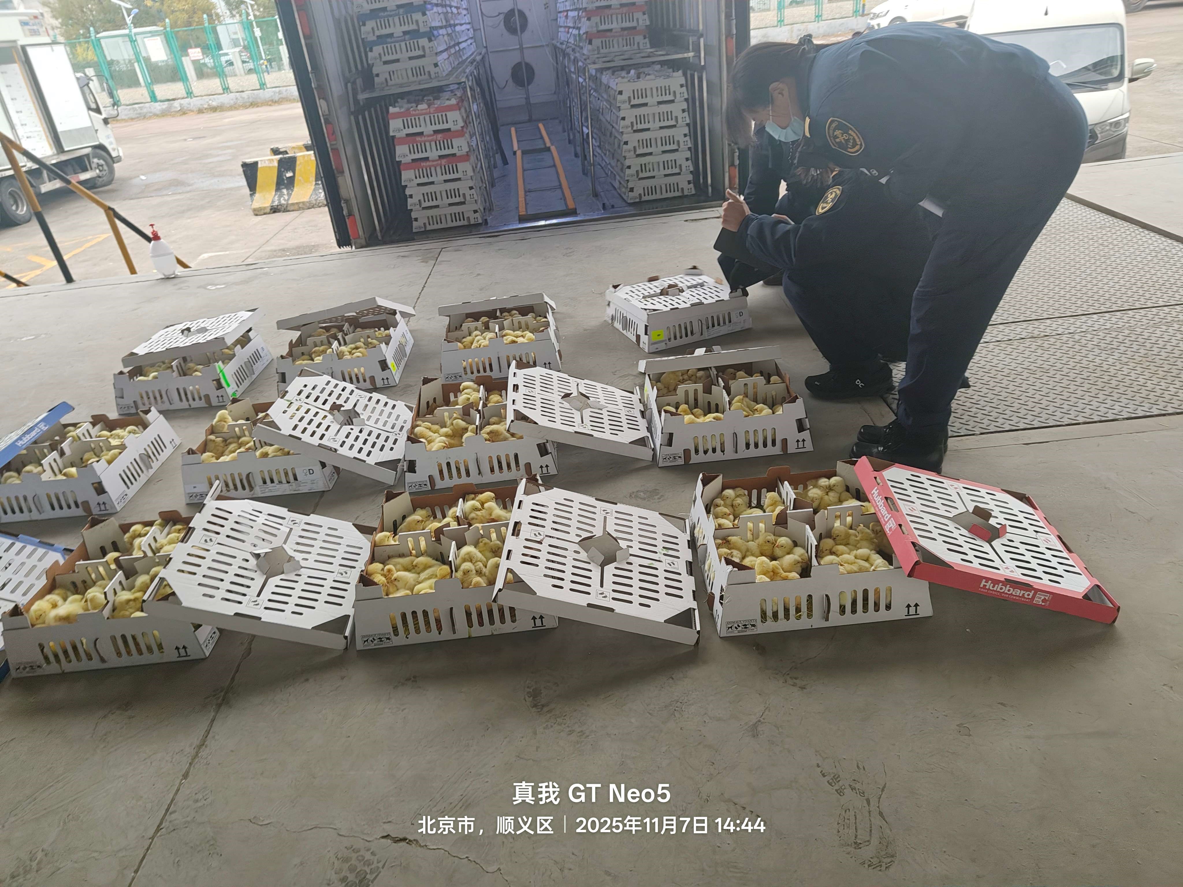 �����֡�aggame�����ɷ����ڵ�ʮ��������ּ�˳���뾳 �ۼ�����ռ���½���